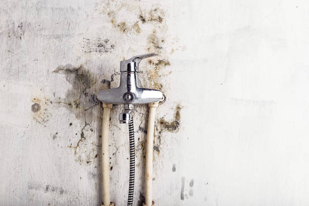 Best Emergency Mold Removal  in Alexandria Bay, NY