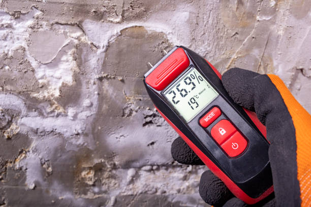 Best Office Mold Removal Services  in Alexandria Bay, NY